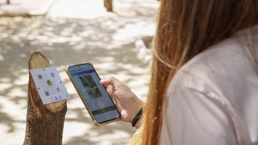Parque Ecológico de Capim Macio recebeu trilha autoguiada com 20 QR Codes que dão acesso, pelo celular, a vídeos sobre espécies da flora e processos naturais. - Foto: Roberto Galhardo/Semsur