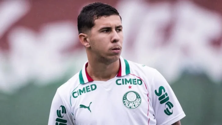 Felipe Teresa foi afastado das atividades da equipe sub-20 do Palmeiras após denúncia de suposta agressão feita pela ex-esposa