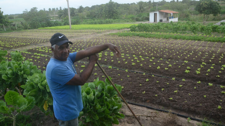 Agricultor trabalhando em plantação no interior do Rio Grande do Norte