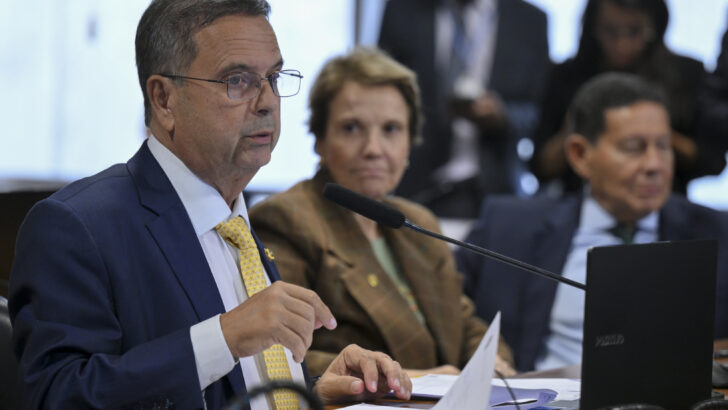 Rogério Marinho durante sessão no Senado