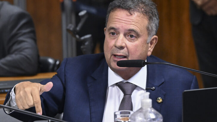 Senador Rogério Marinho falando ao microfone no plenário do Senado