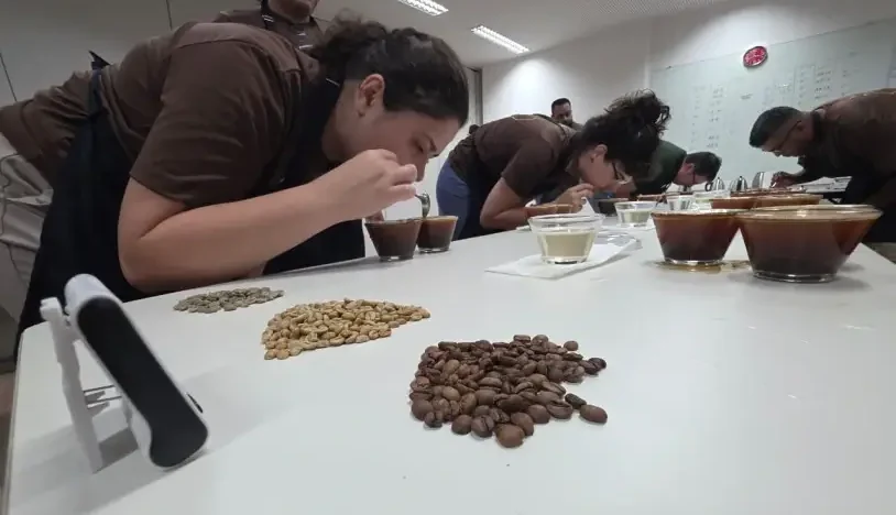 Jurados provam cafés em xícaras sobre uma mesa com amostras de grãos crus e torrados