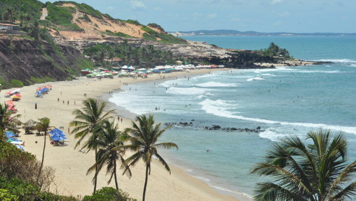 Praia de Pipa com falésias, mar e coqueiros