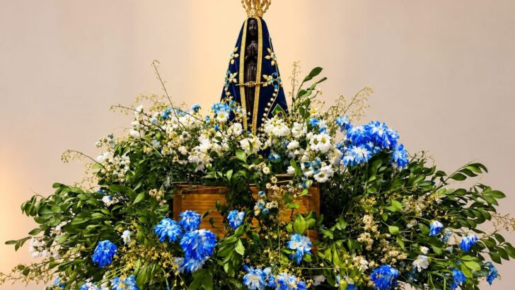 Imagem de Nossa Senhora Aparecida usada na divulgação da festa em Serra do Mel