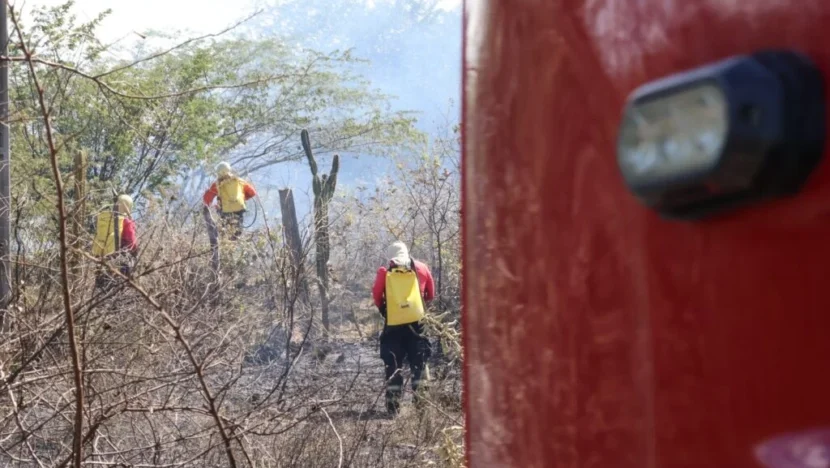 Três profissionais equipados com roupas de proteção e bombas costais amarelas atuam em uma área de vegetação seca, com galhos queimados e fumaça ao fundo. Parte de um veículo vermelho aparece à direita da imagem