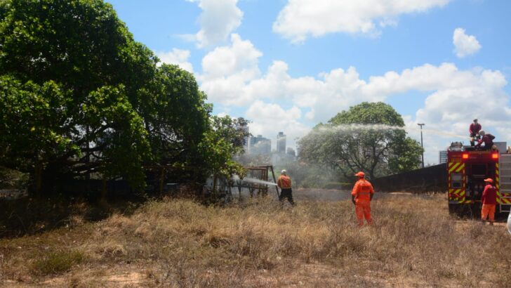 Bombeiros e agentes com uniformes laranja e vermelho combatem incêndio em área de vegetação seca, utilizando mangueiras ligadas a um caminhão de combate a incêndios. Árvores e prédios aparecem ao fundo