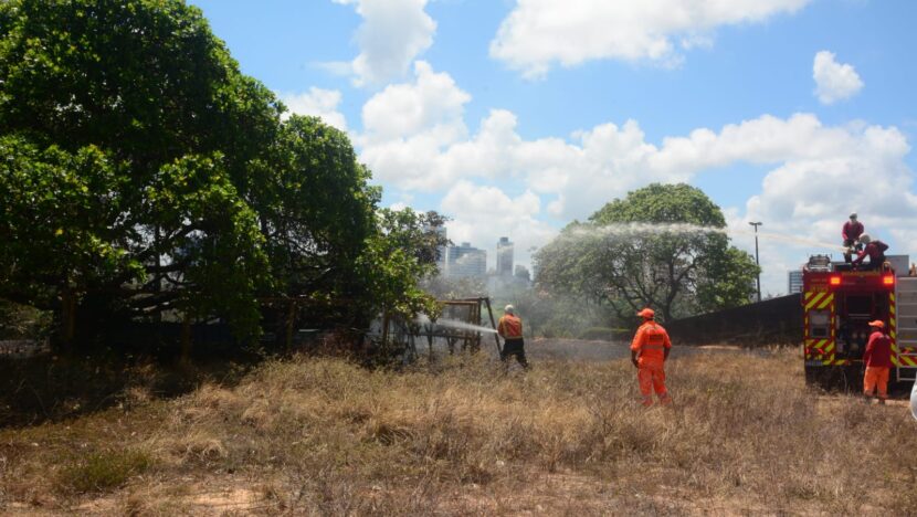 Bombeiros e agentes com uniformes laranja e vermelho combatem incêndio em área de vegetação seca, utilizando mangueiras ligadas a um caminhão de combate a incêndios. Árvores e prédios aparecem ao fundo
