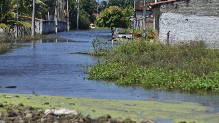 Rua alagada na comunidade do Cavaco Chinês, na zona Norte de Natal, com a água cobrindo o acesso às casas e vegetação aquática na superfície