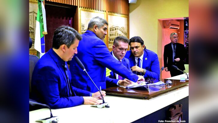 Vereadores analisam documentos no plenário da Câmara Municipal de Natal