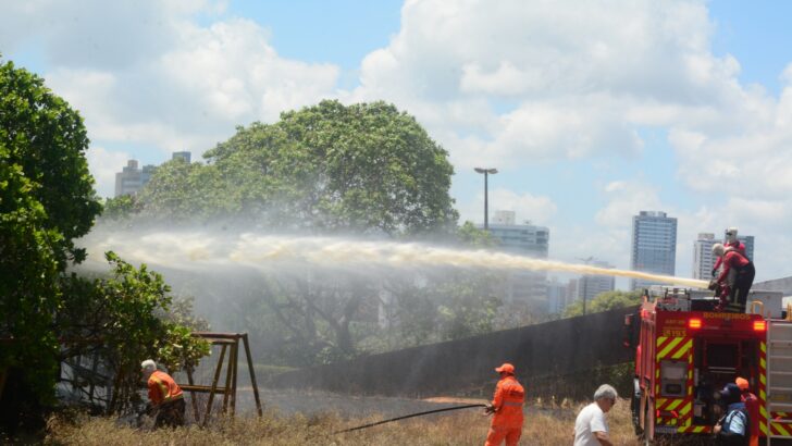 Bombeiros combatem incêndio em vegetação no campus da UFRN
