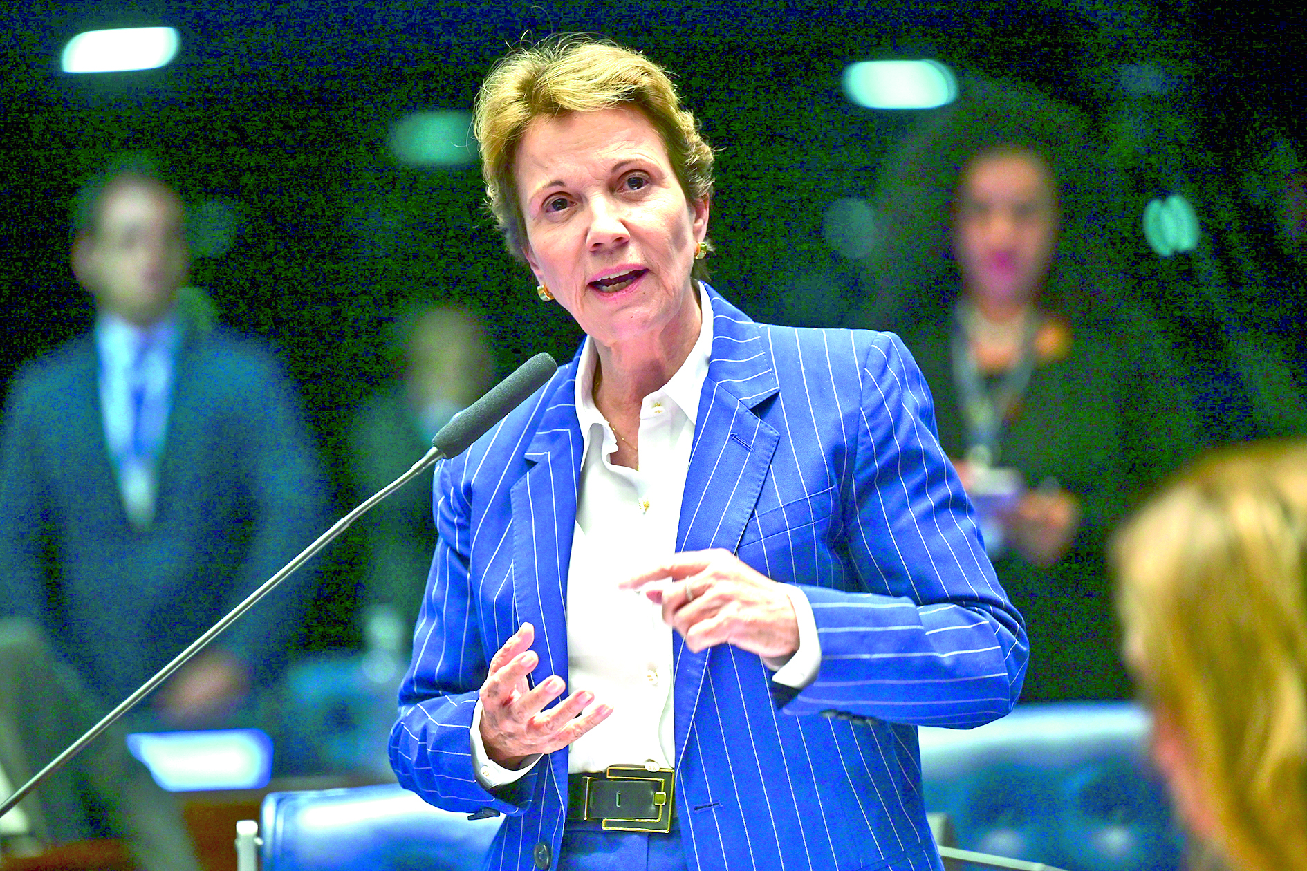 Tereza Cristina fala no Senado