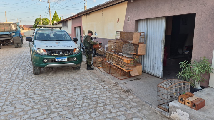 Homem é preso com aves silvestres em cativeiro e 5 kg de chumbo no interior do RN