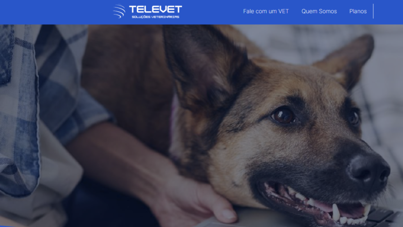 Hospital Veterinário de Natal oferece consultas gratuitas pela internet; veja como acessar