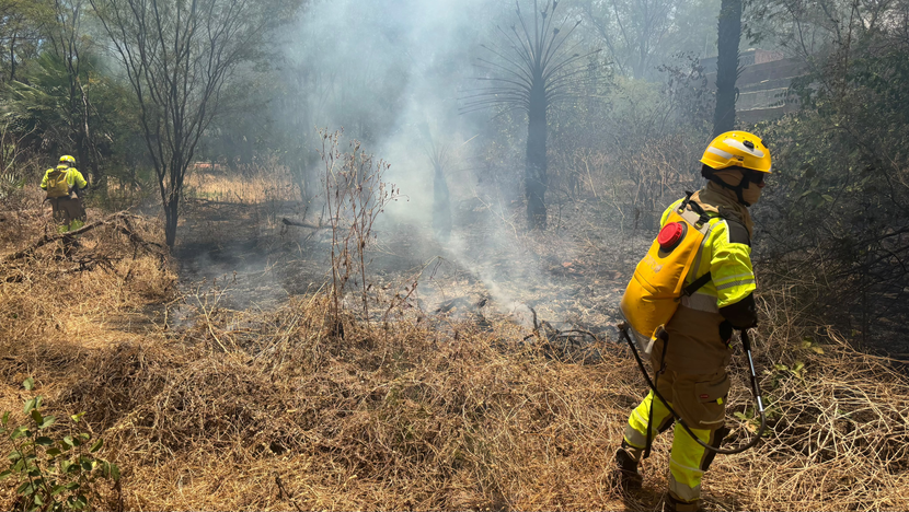 Corpo de Bombeiros e Defesa Civil Municipal atuaram no combate a um incêndio em vegetação nas proximidades do Monte do Galo, em Carnaúba dos Dantas, neste domingo 18. - Foto: CBMRN