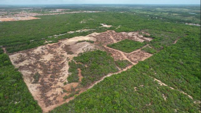 Área desmatada com solo exposto e vegetação removida às margens de rodovia em Extremoz