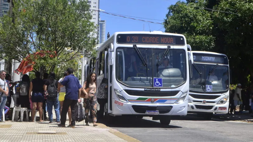 Parada de onibus Ribeira (18)