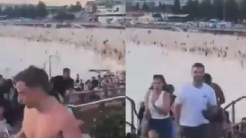 MODELO FOTO PORTAL (30)