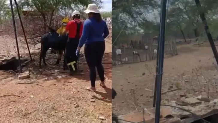 MODELO FOTO PORTAL (64)