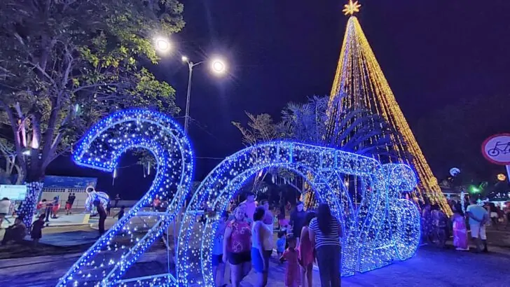 WhatsApp Image 2025 12 12 at 16.36.50